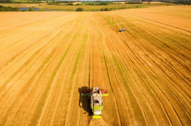 Çalışma alanı ve Mowser buğday hasat. Ukrayna. Havadan görünümü.
