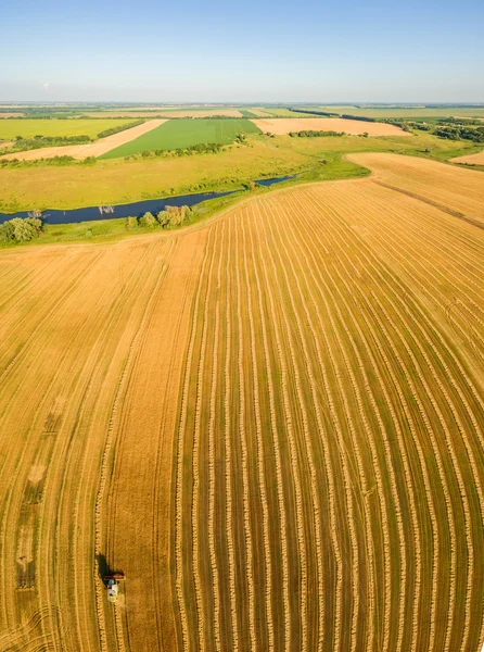 Для збирання, що працюють у сфері та mows пшениці. Україна. Пташиного польоту. — стокове фото