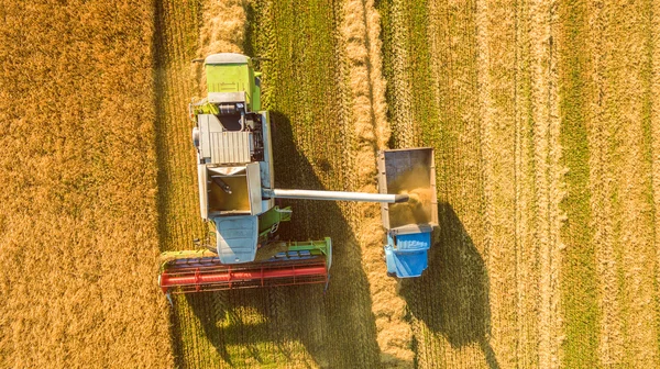 Kombajn v poli a žne pšenici. Ukrajina. Letecký pohled. — Stock fotografie