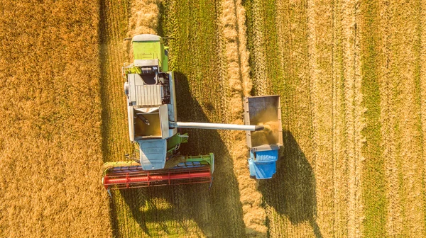 Colheitadeira trabalhando no campo e corta trigo. Ucrânia. Vista aérea . — Fotografia de Stock