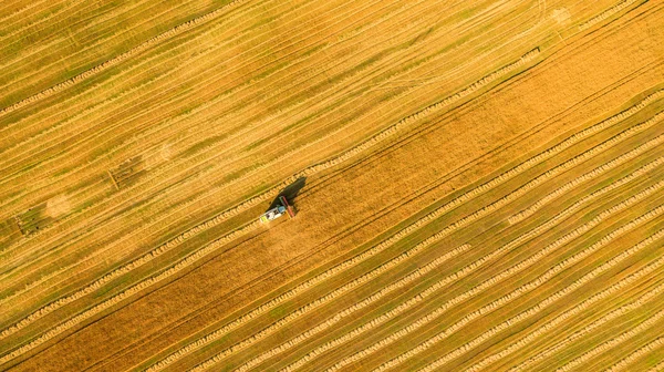 Maaimachine werkt in veld en maait tarwe. Oekraïne. Luchtfoto. — Stockfoto