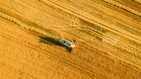 Cosechadora trabajando en el campo y siega trigo. Ucrania. Vista aérea . — Foto de Stock