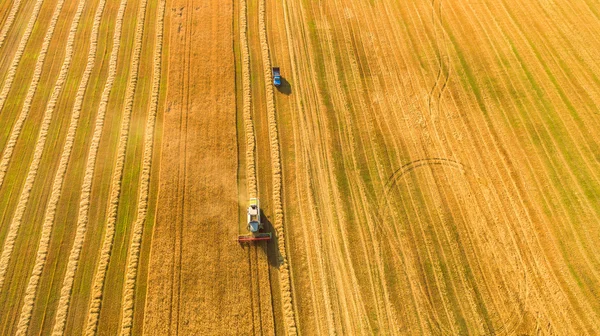 Innhøster som arbeider på åker og klipper hvete. Ukraina. Utsikt fra luftfartøy . – stockfoto