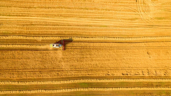 Для збирання, що працюють у сфері та mows пшениці. Україна. Пташиного польоту. — стокове фото