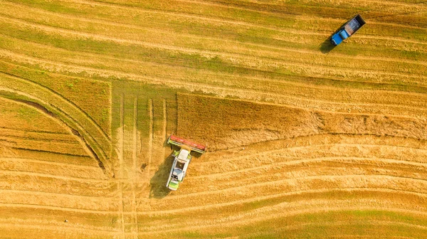 Colheitadeira trabalhando no campo e corta trigo. Ucrânia. Vista aérea . — Fotografia de Stock