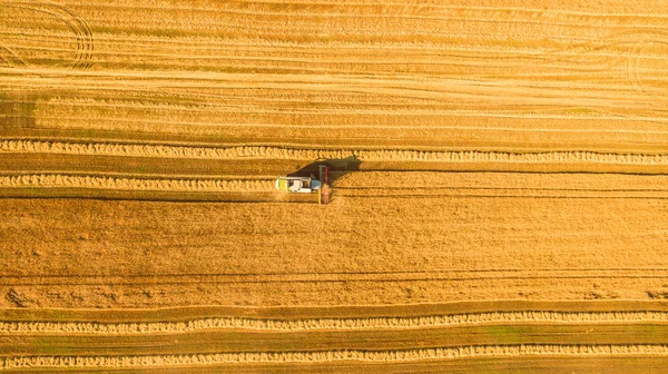 Raccoglitore che lavora in campo e falcia il grano. Ucraina. Vista aerea . — Foto Stock