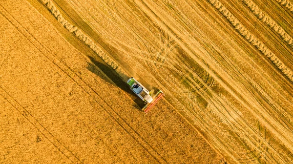 Kombajn v poli a žne pšenici. Ukrajina. Letecký pohled. — Stock fotografie