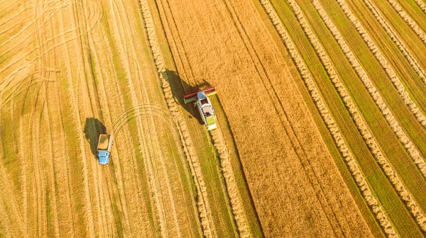 Cosechadora trabajando en el campo y siega trigo. Ucrania. Vista aérea . — Foto de Stock