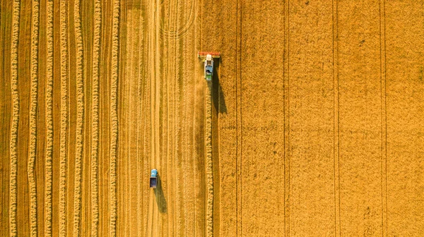 Kombajn do pracy w polu i kosi pszenicy. Ukraina. Widok z lotu ptaka. — Zdjęcie stockowe