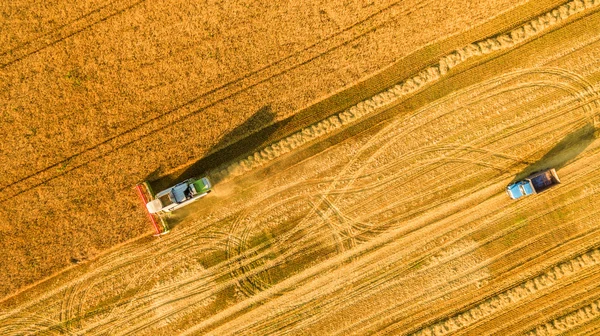 Kombajn v poli a žne pšenici. Ukrajina. Letecký pohled. — Stock fotografie