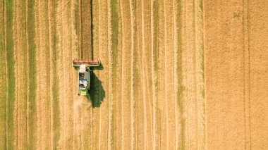 Çalışma alanı ve Mowser buğday hasat. Ukrayna. Havadan görünümü.