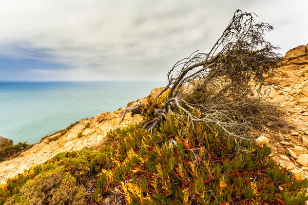 Vista del Cabo Roca, Sintra, Portugal — Foto de Stock