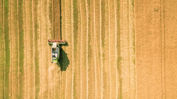 수확 필드와 mows 밀에서 일입니다. 우크라이나. 공중 보기. — 스톡 사진