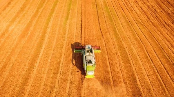 Kombajn v poli a žne pšenici. Ukrajina. Letecký pohled. — Stock fotografie