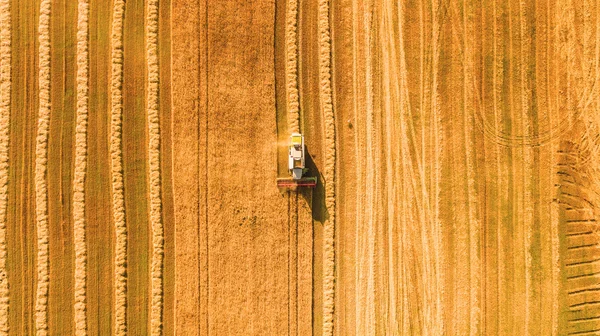 Cosechadora trabajando en el campo y siega trigo. Ucrania. Vista aérea . — Foto de Stock