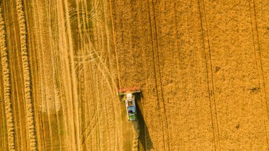 Çalışma alanı ve Mowser buğday hasat. Ukrayna. Havadan görünümü.