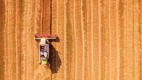 Récolteuse travaillant dans les champs et fauche le blé. Ukraine. Vue aérienne . — Photo