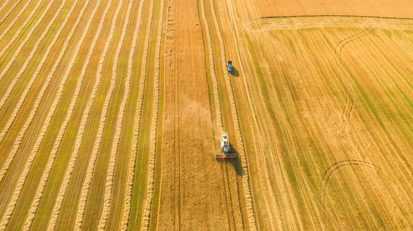 Çalışma alanı ve Mowser buğday hasat. Ukrayna. Havadan görünümü.