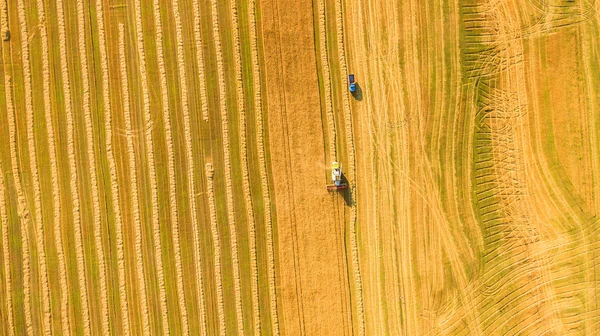 Colheitadeira trabalhando no campo e corta trigo. Ucrânia. Vista aérea . — Fotografia de Stock