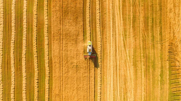 Kombajn v poli a žne pšenici. Ukrajina. Letecký pohled. — Stock fotografie