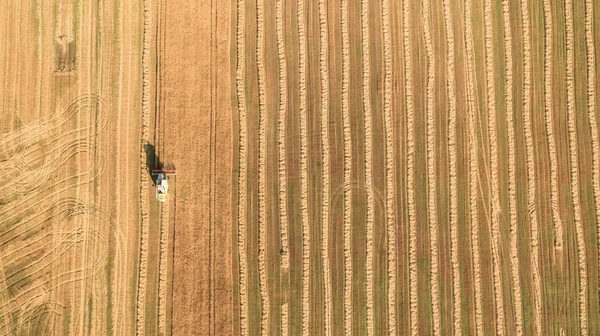 Cosechadora trabajando en el campo y siega trigo. Ucrania. Vista aérea . — Foto de Stock