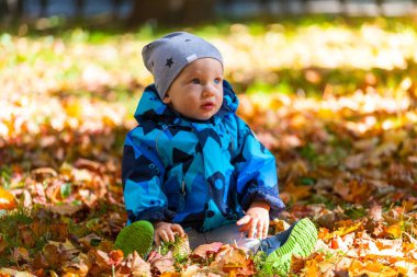 Sonbaharda parkta renkli yapraklarla oynayan küçük bir oğlan çocuğu..