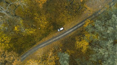 Yukarıdan güzel bir sonbahar ormanı. Hava görünümü