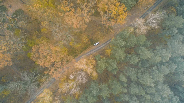 Красивый осенний лес сверху. Вид с воздуха — стоковое фото