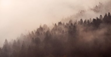 Güzel bir Karpat siste