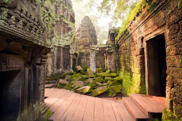 Tempio di Ta Prohm, Angkor, Cambogia — Foto Stock