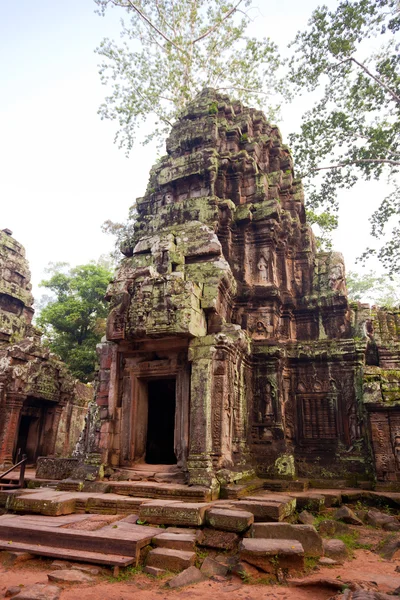 Tempio di Ta Prohm, Angkor, Cambogia — Foto Stock