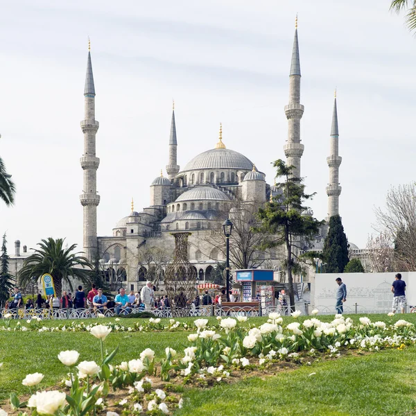 Blå moskén, Istanbul, Turkiet — Stockfoto