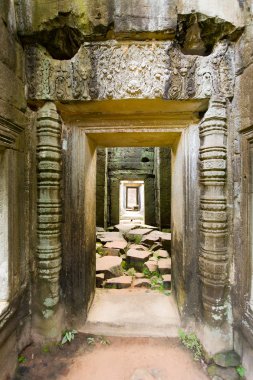 Ta Prohm Tapınağı, Angkor, Kamboçya