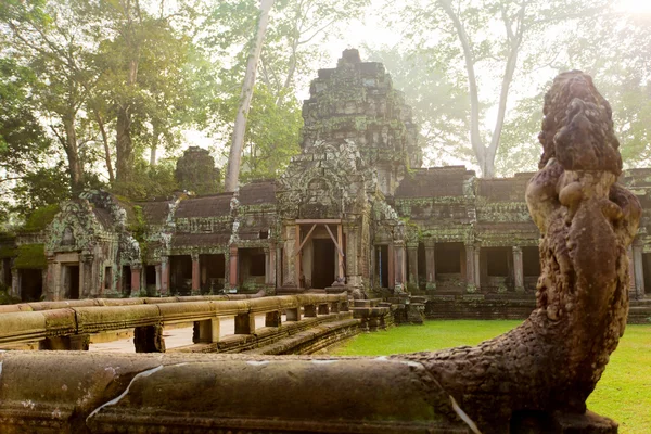 Tempio di Ta Prohm, Angkor, Cambogia — Foto Stock