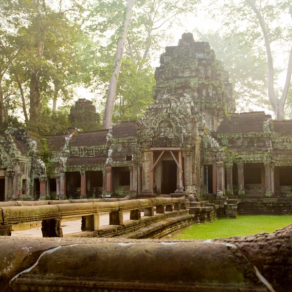 Tempio di Ta Prohm, Angkor, Cambogia — Foto Stock