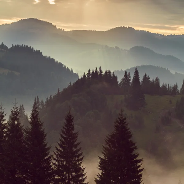 Východ slunce v horách — Stock fotografie