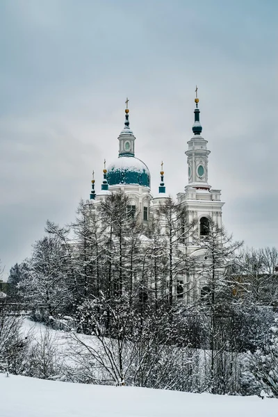 Cathédrale Catherine enneigée à Kingisepp — Photo