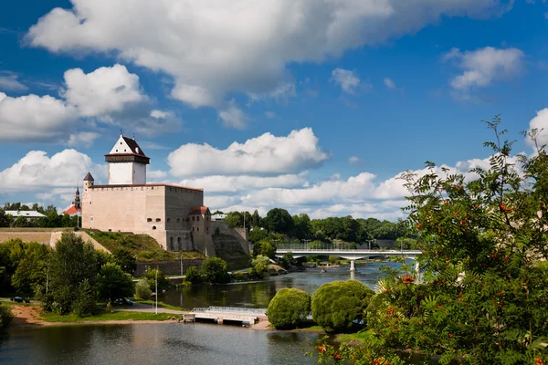 Вид на реку и Нарвский замок — стоковое фото