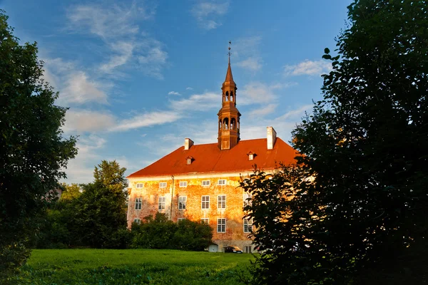 Narva középkori városháza — Stock Fotó