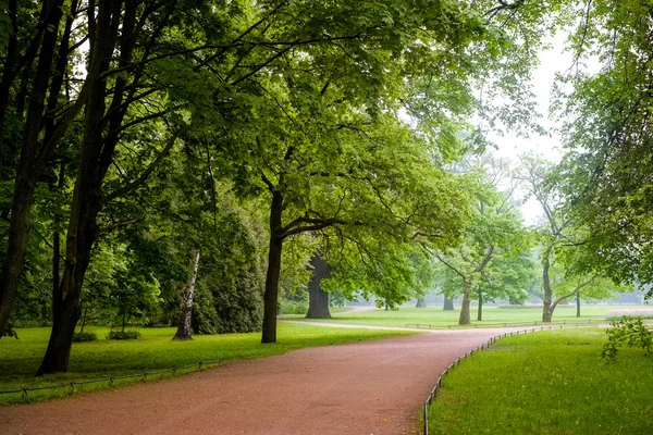 Kirov sisli bulutlu sabah central Park'ta