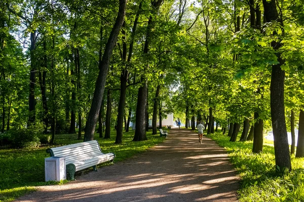 Parkta koşan kadın