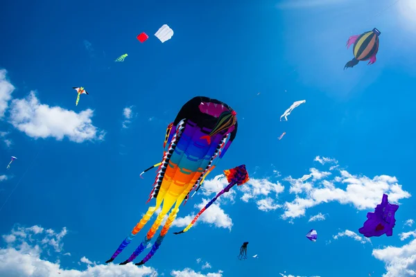Diverse vliegers vliegen op de hemel — Stockfoto