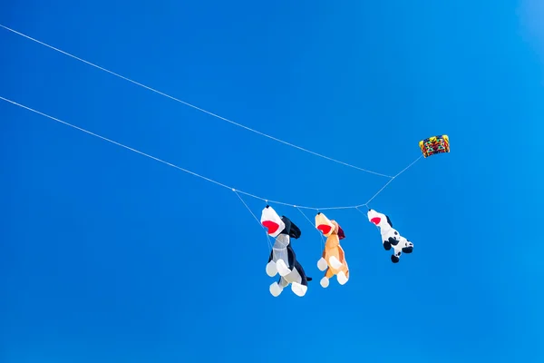Tre aquiloni simili a cani che volano nel cielo — Foto Stock