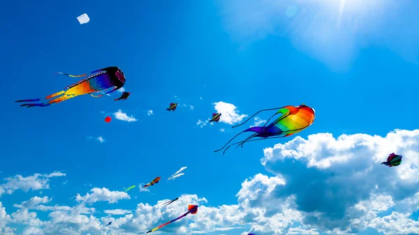 Verschiedene Drachen fliegen am Himmel — Stockfoto