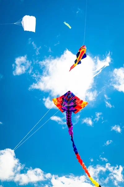 Verschiedene Drachen fliegen am Himmel — Stockfoto