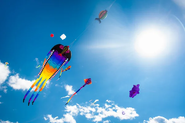 Gökyüzünde uçan çeşitli uçurtmalar