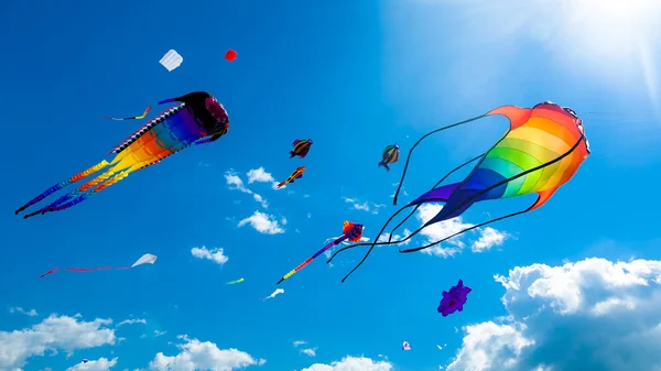 Verschiedene Drachen fliegen am Himmel — Stockfoto
