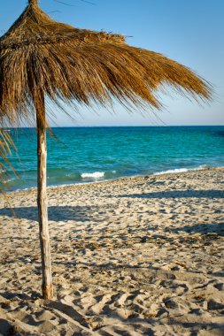 Okyanus plaj şemsiye