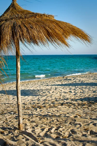 Okyanus plaj şemsiye