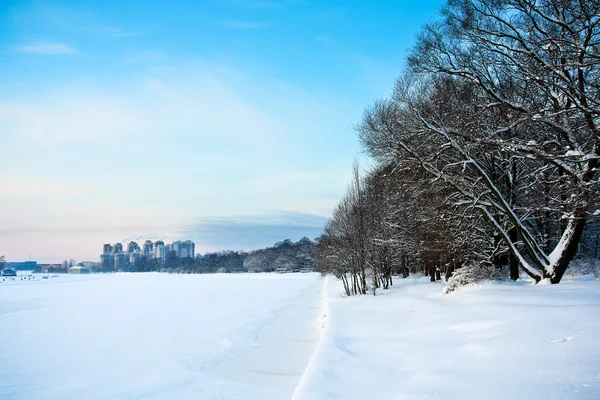 Zugefrorener Fluss und verschneite Bäume — Stockfoto